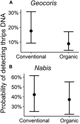Alternative Prey and Predator Interference Mediate Thrips Consumption by Generalists